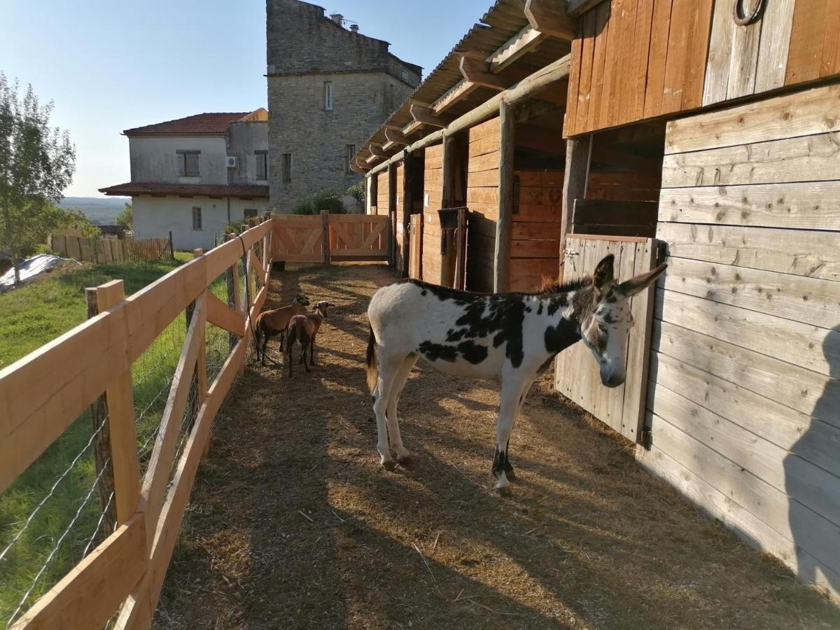 Villa Les Hauts Vallons Puylaroque Εξωτερικό φωτογραφία