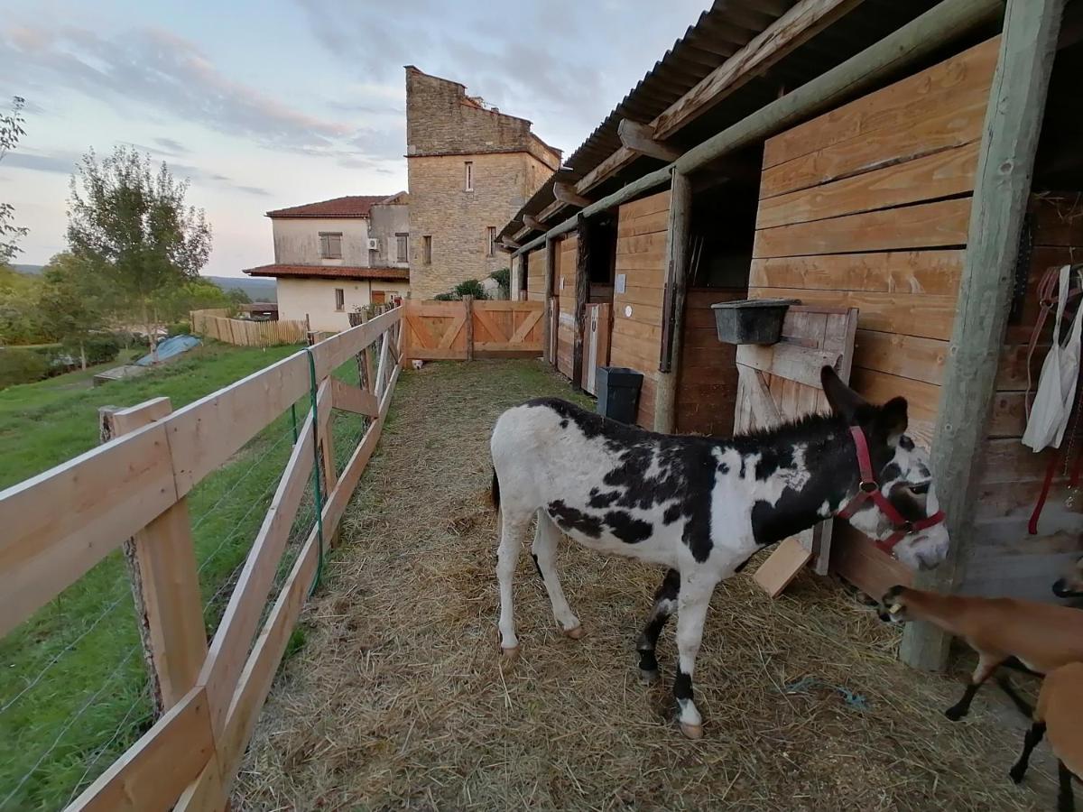 Villa Les Hauts Vallons Puylaroque Εξωτερικό φωτογραφία