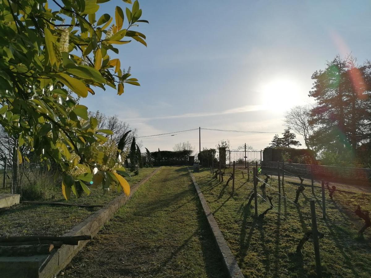 Villa Les Hauts Vallons Puylaroque Εξωτερικό φωτογραφία